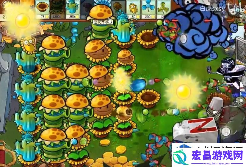 高效策略与植物选择推荐