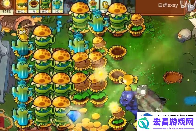 高效策略与植物选择推荐