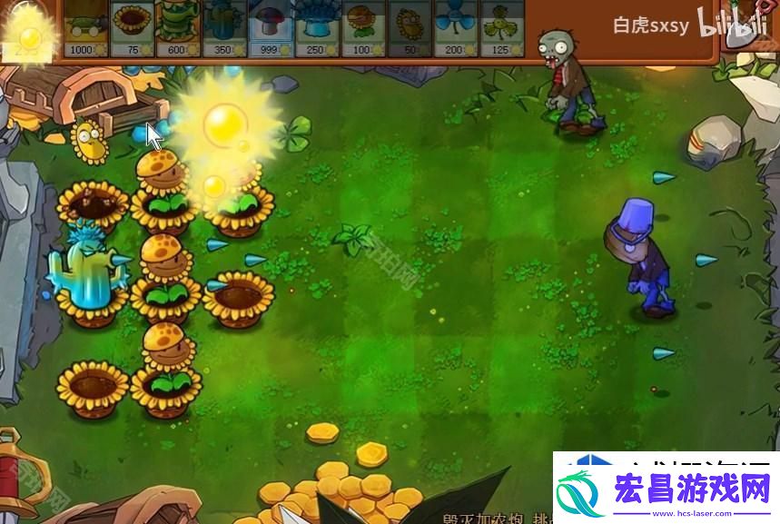 高效策略与植物选择推荐