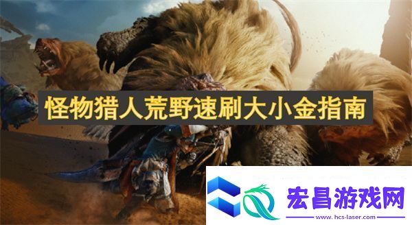 怪物猎人荒野速刷大小金指南