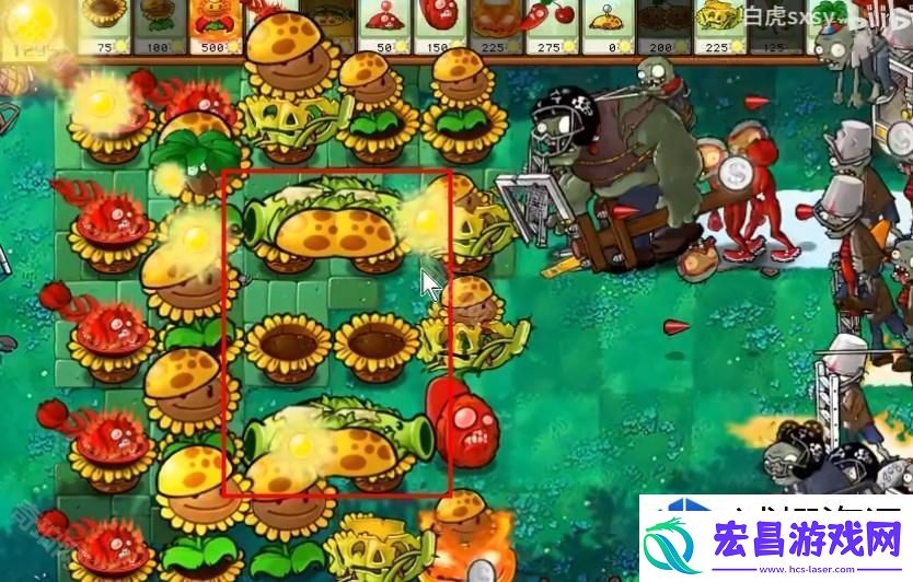 植物大战僵尸杂交版挑战模式第36关如何快速通关