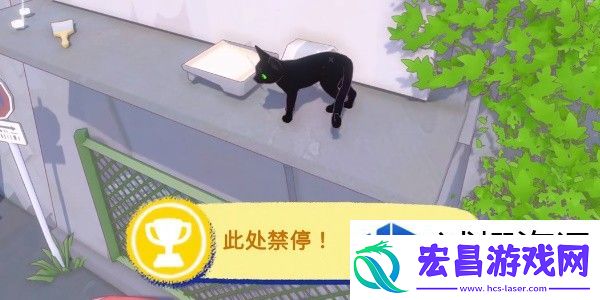 玩法详解与技巧分享