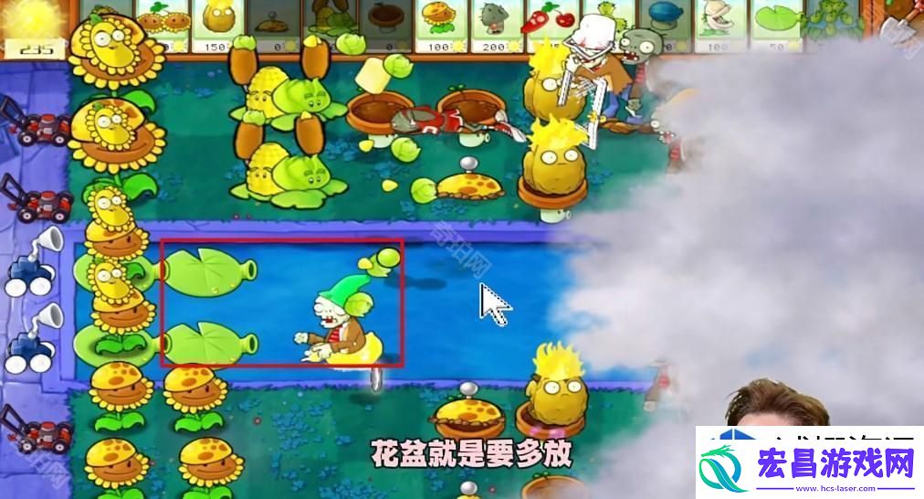 敌人类型与植物搭配分析