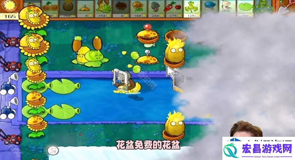 敌人类型与植物搭配分析