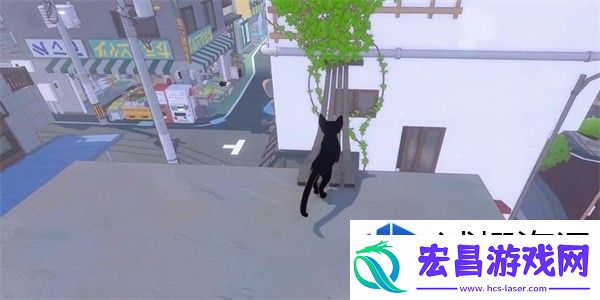 小猫咪大城市