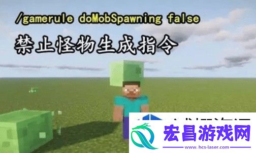 全面解析与实战应用