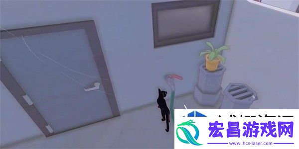 小猫咪大城市