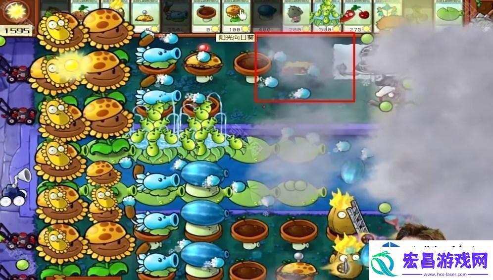 植物大战僵尸杂交版冒险模式第20关挑战解析