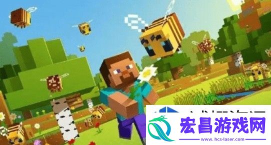 全面解析与实战应用