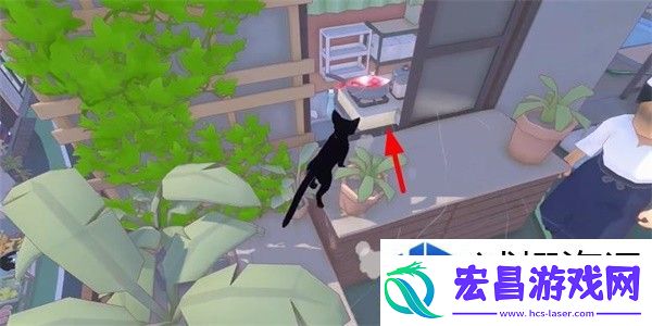 小猫咪大城市