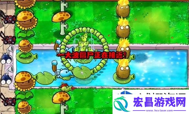 技巧解析与实战经验