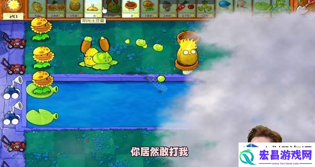 敌人类型与植物搭配分析