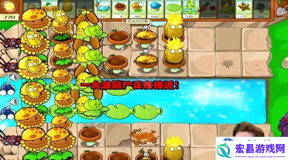 植物大战僵尸杂交版冒险模式第22关攻略