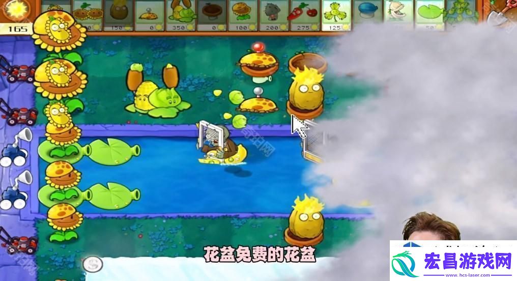 植物大战僵尸杂交版挑战模式第21关过关策略