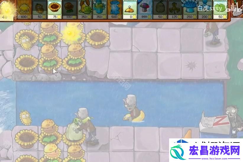 实用技巧分享与战术解析