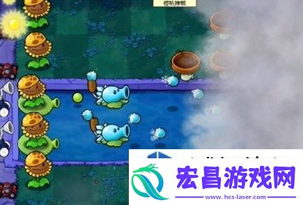植物大战僵尸杂交版冒险模式第19关详解