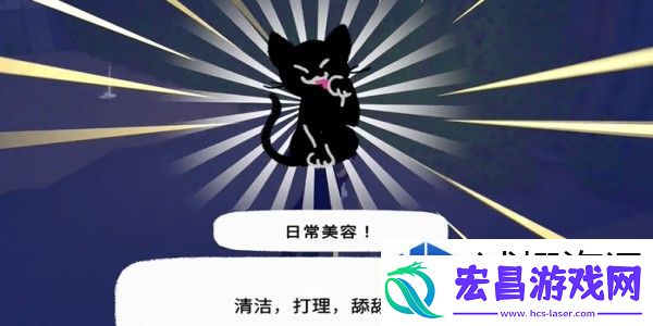 小猫咪大城市