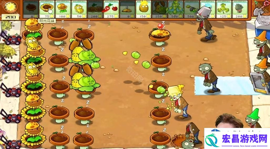 植物大战僵尸杂交版冒险模式第26关攻略