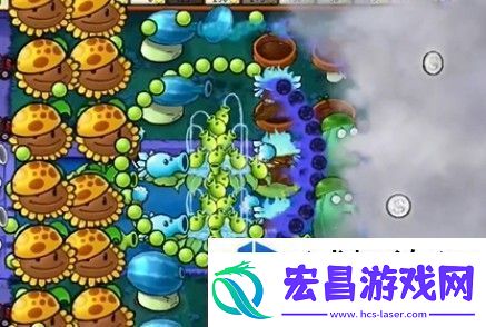 植物大战僵尸杂交版冒险模式第19关详解