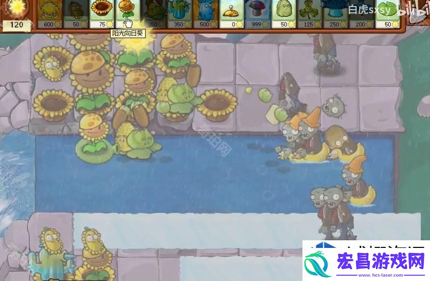 实用技巧分享与战术解析
