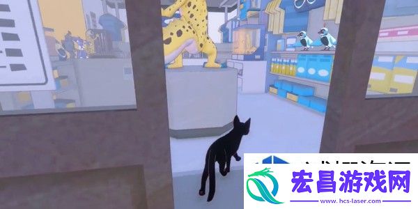 小猫咪大城市与大猫咪小城市之间的成就对比分析