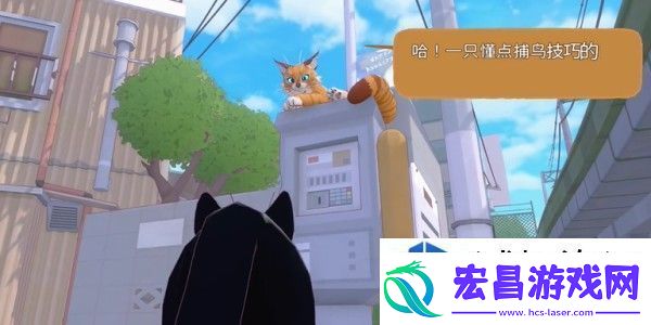 小猫咪大城市全任务攻略汇总