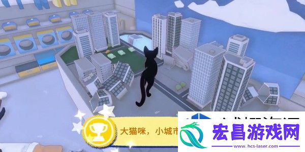 小猫咪大城市与大猫咪小城市之间的成就对比分析