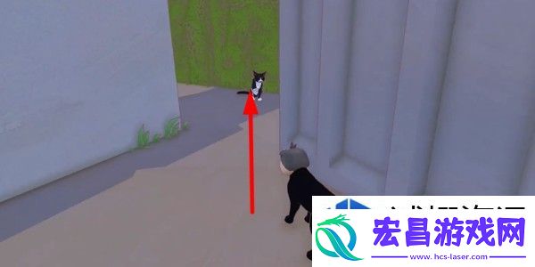 小猫咪大城市