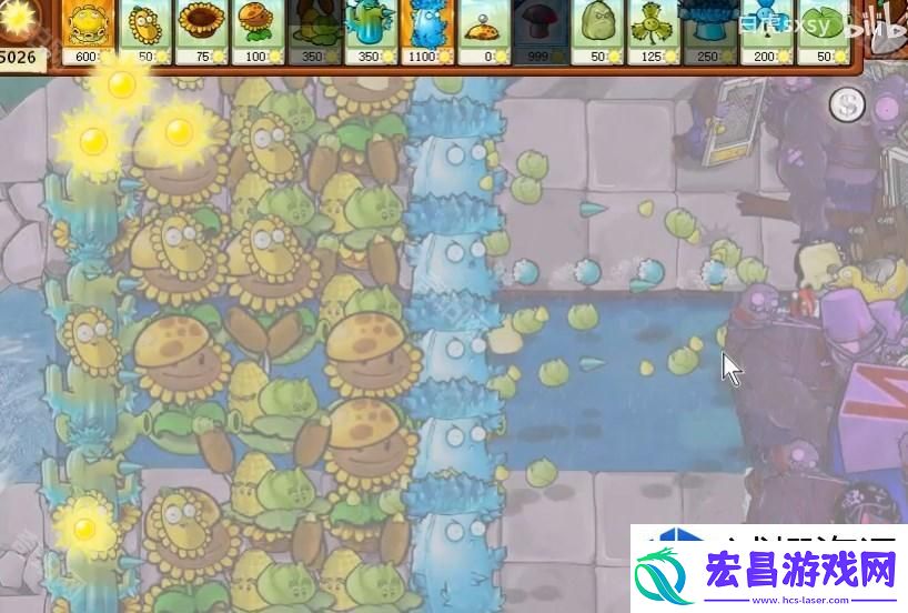实用技巧分享与战术解析