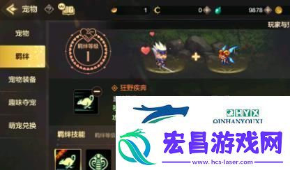 DNF手游宠物进化攻略