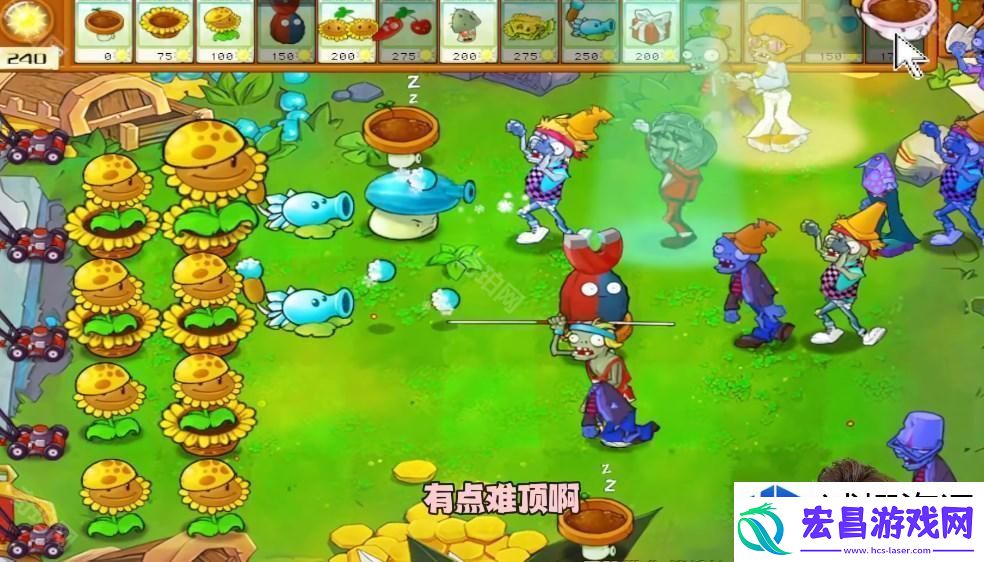 新植物组合如何助你成功