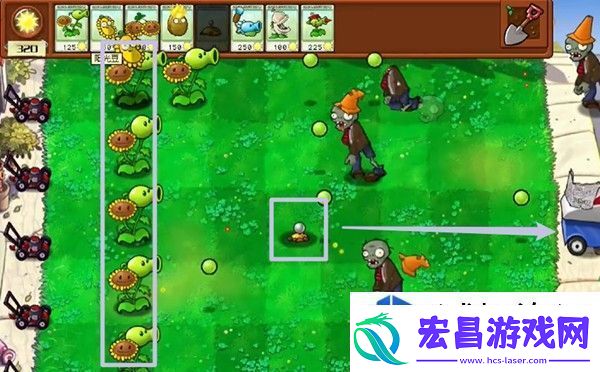 植物大战僵尸杂交版
