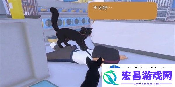 小猫咪大城市猫老大与小柚子的职业成长对比