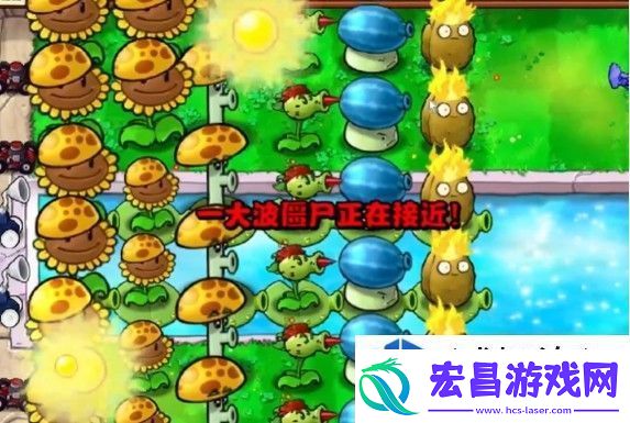 植物大战僵尸杂交版冒险模式第11关通关技巧
