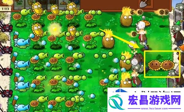 探秘冒险模式各关卡通关技巧