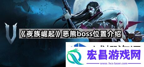 玩家攻略与战斗技巧
