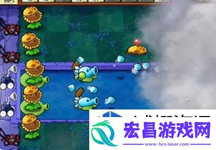 植物大战僵尸杂交版通关技巧
