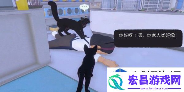 小猫咪大城市