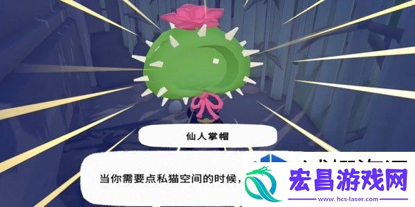 穿搭选择与游戏攻略