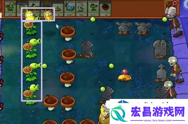 植物大战僵尸杂交版