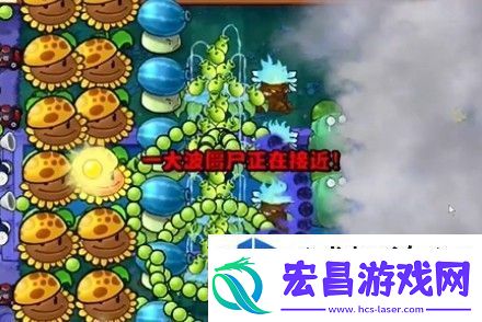 植物大战僵尸杂交版通关技巧