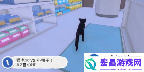 小猫咪大城市