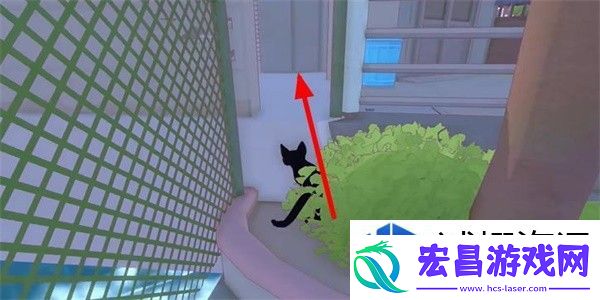 小猫咪大城市