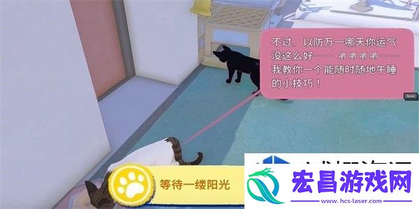 小猫咪大城市