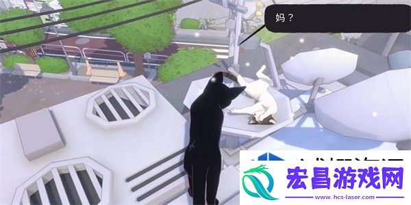 小猫咪大城市