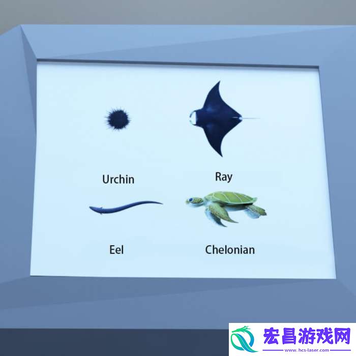 Room圣诞节水族馆攻略图文详情