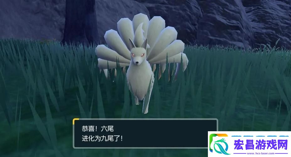 Switch口袋妖怪Mega石