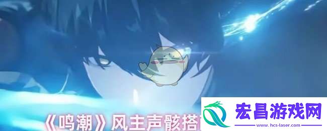鸣潮风主声骸怎么搭配