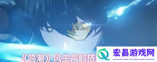 鸣潮风主声骸怎么搭配