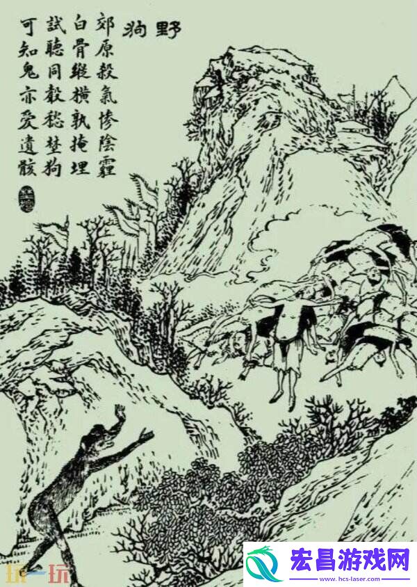 野狗子评测